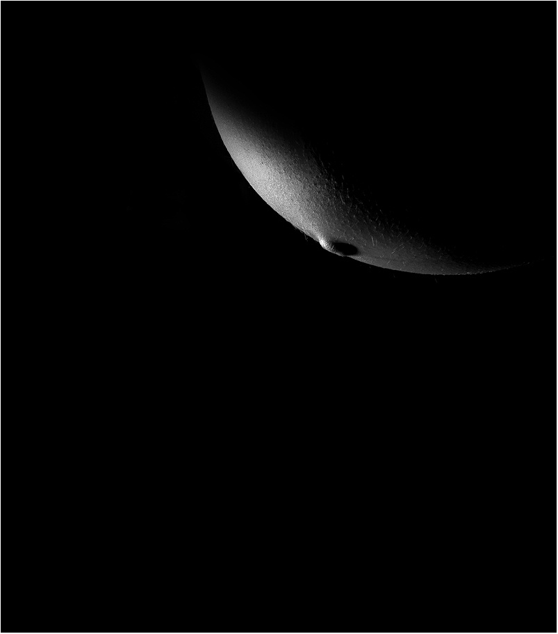 MoonLite Moon