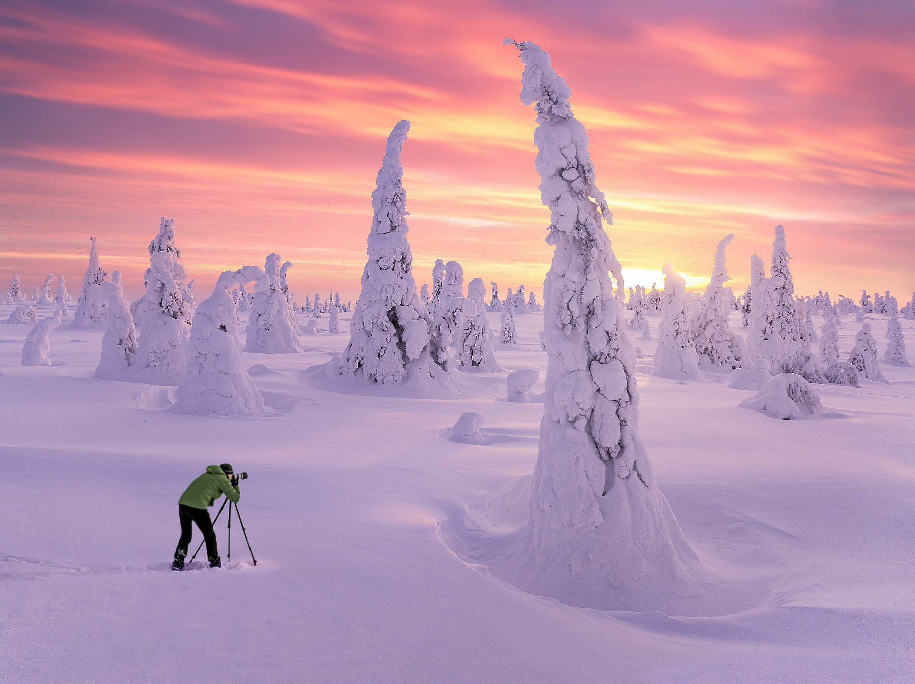 Dreamland finland long exposure photographer trees snow winter white sun light wintery person mesmerizing