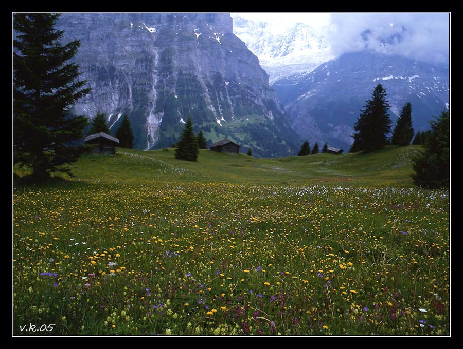 Чтоб мне там жить... гриндельвальд швейцария switzerland