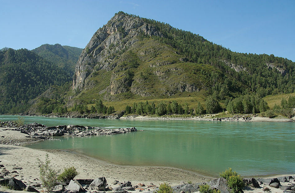 Катунские берега Катунь, река, Алтай, горы