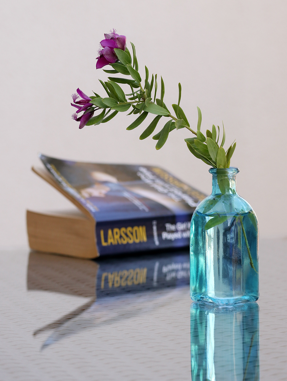 С книжкой 