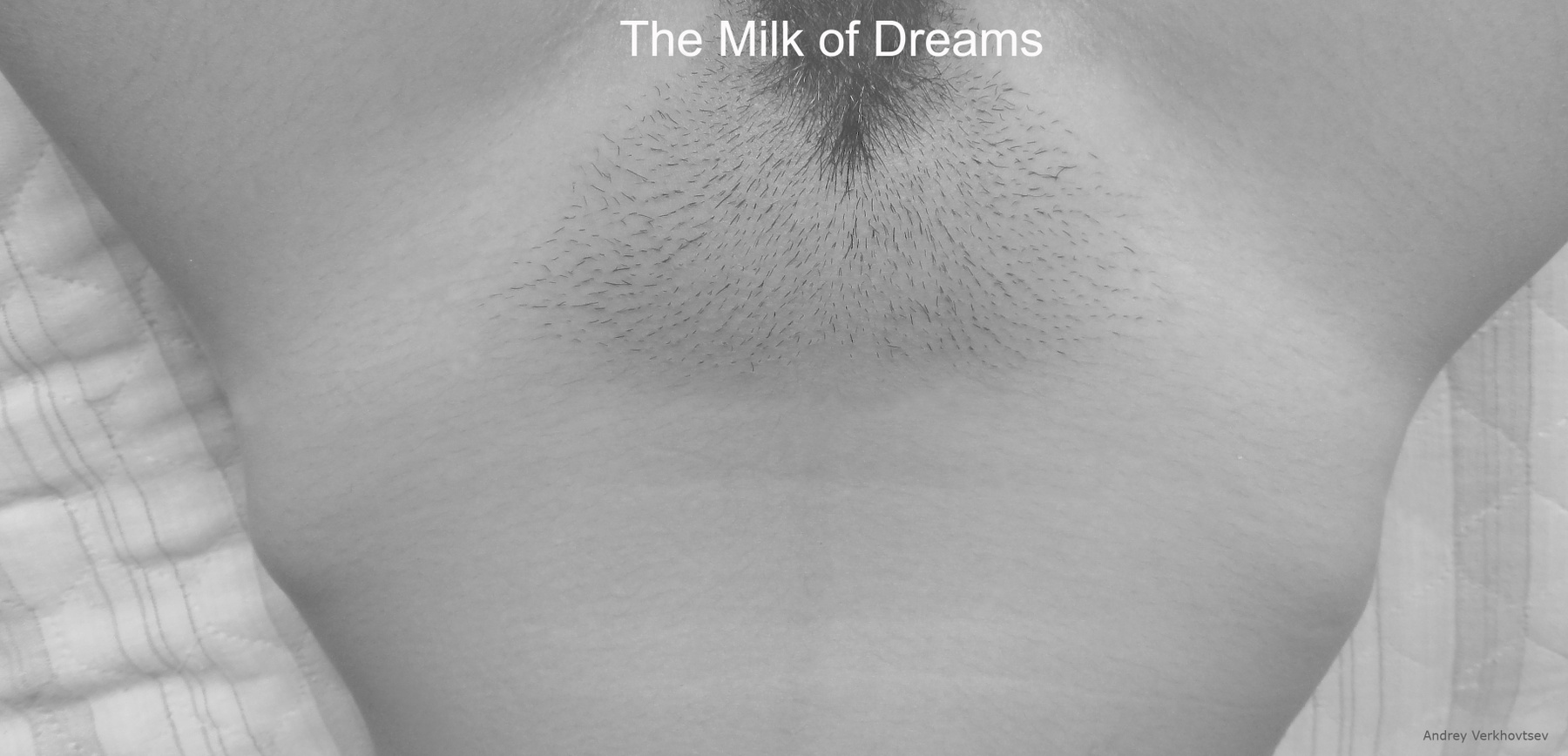 The Milk of Dreams Эротика 18 НЮ