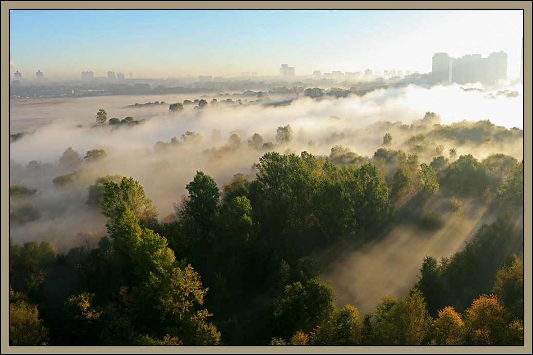 mist is rising тума, fog, mist, утро, восход солнца