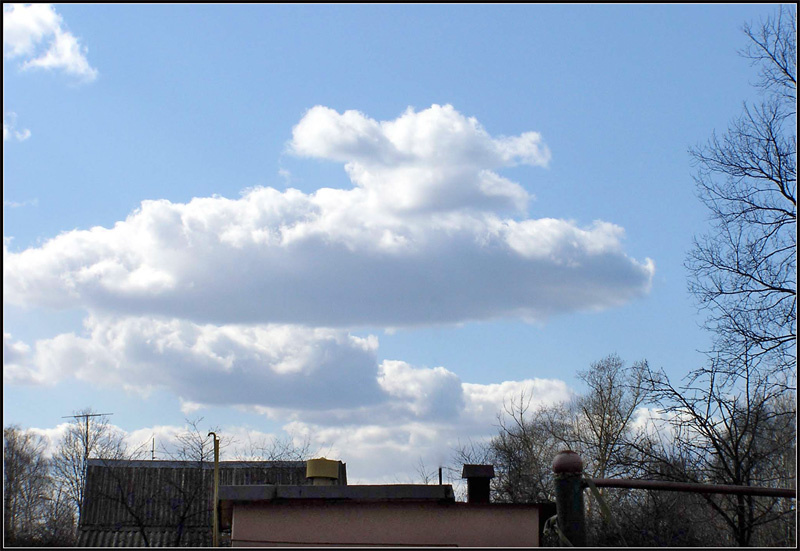 Собака в облаках. облака небо