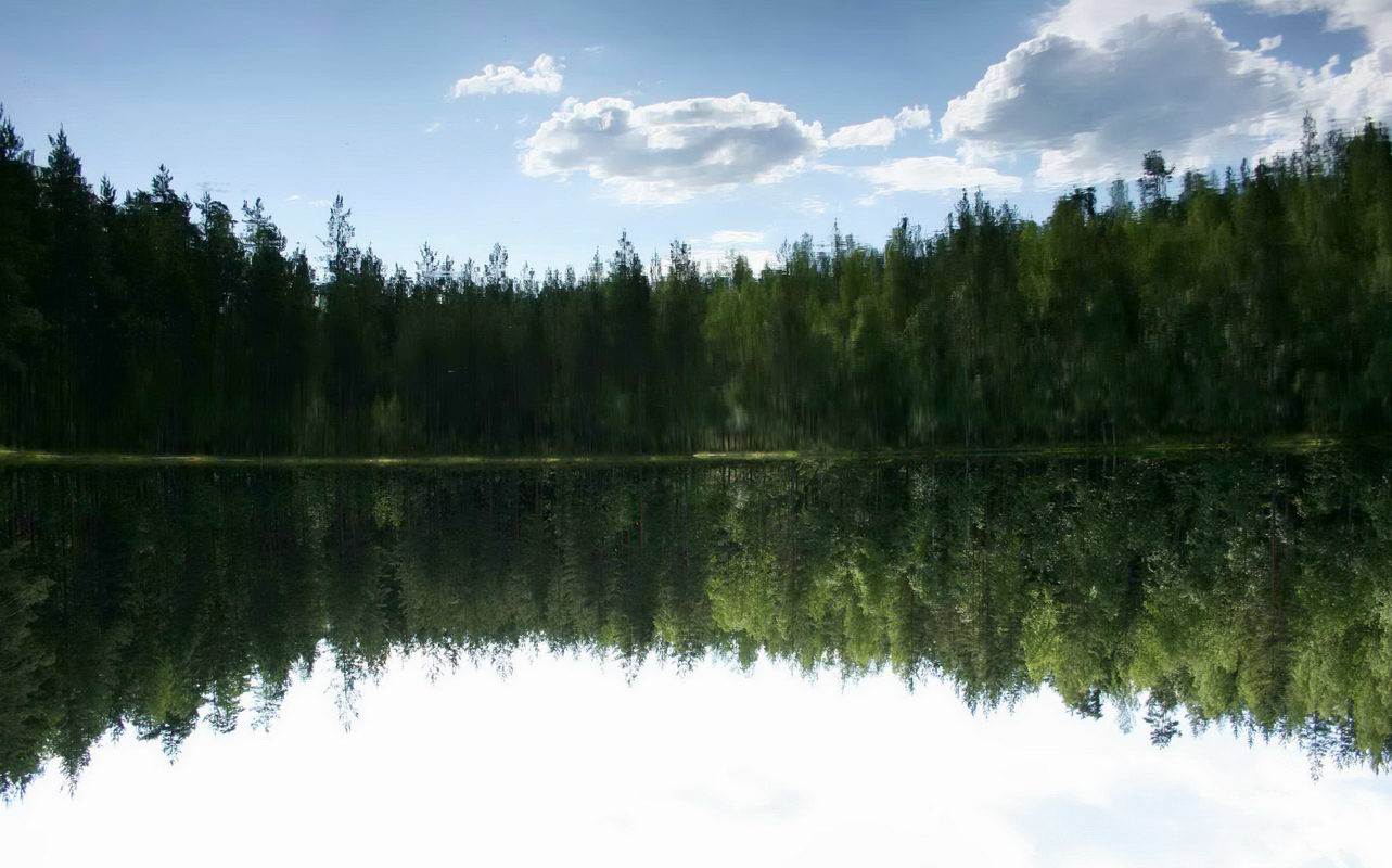 .. и что же всё-таки реальнее ? ... отражение