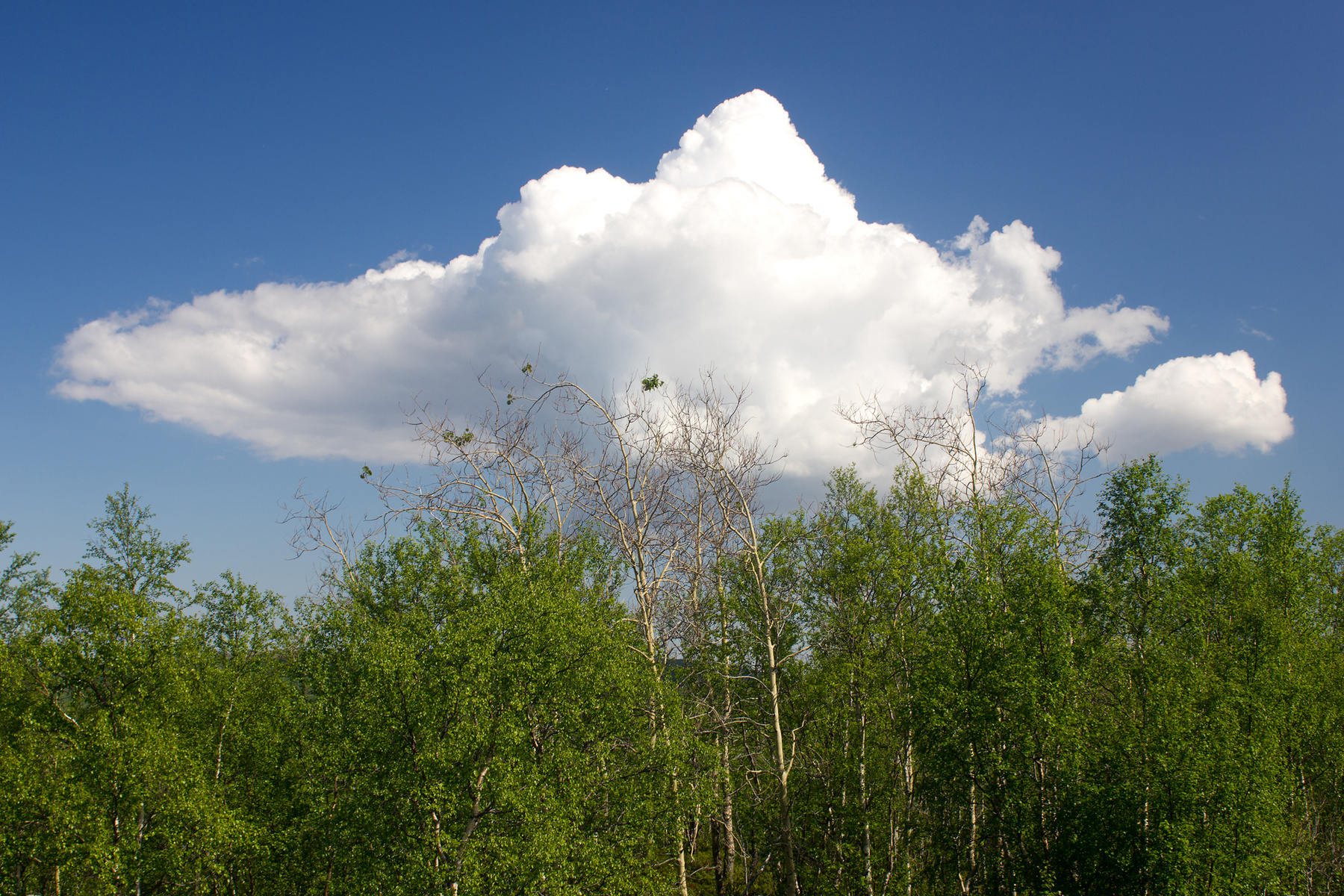 ОБЛАКО облако tundra+ природа небо