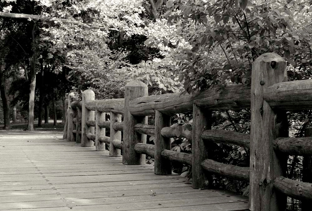 Prospekt park. Brooklyn. Лето, солце, парк