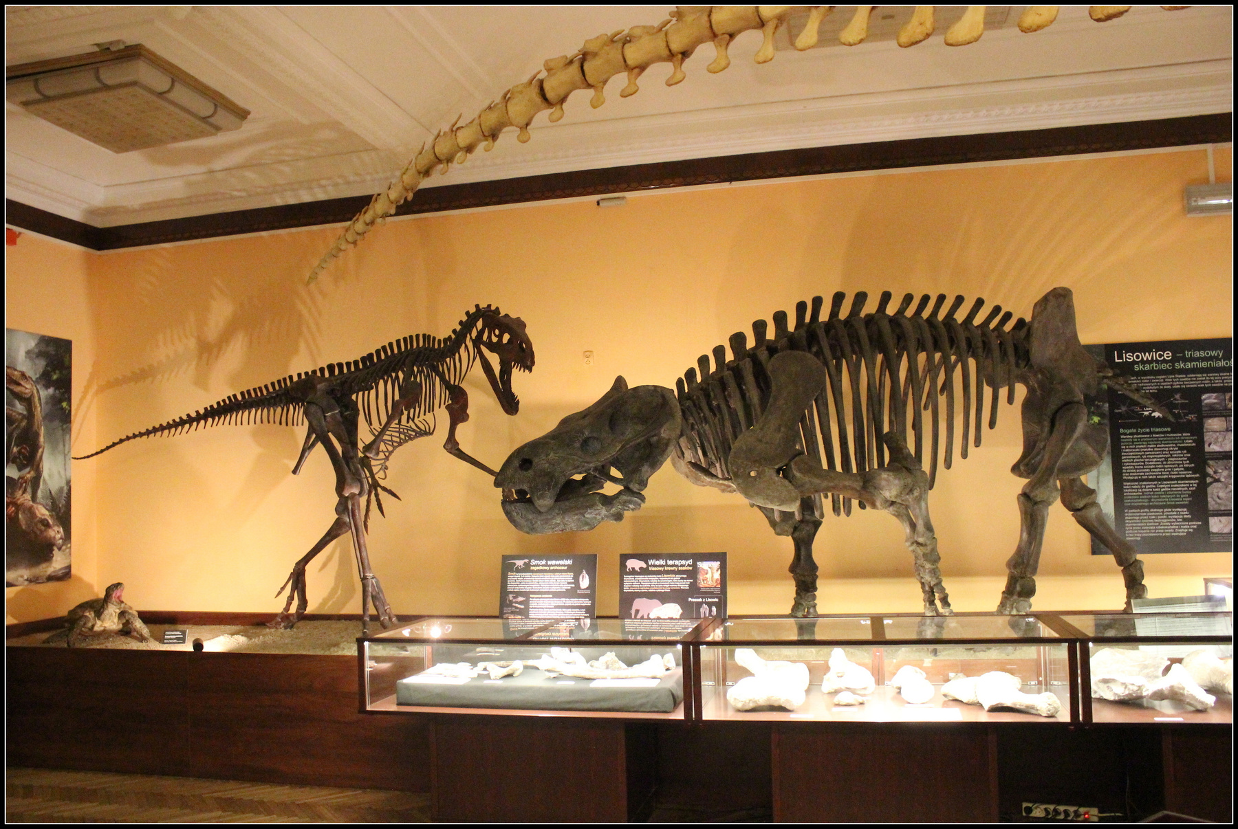 Muzeum ewolucji 