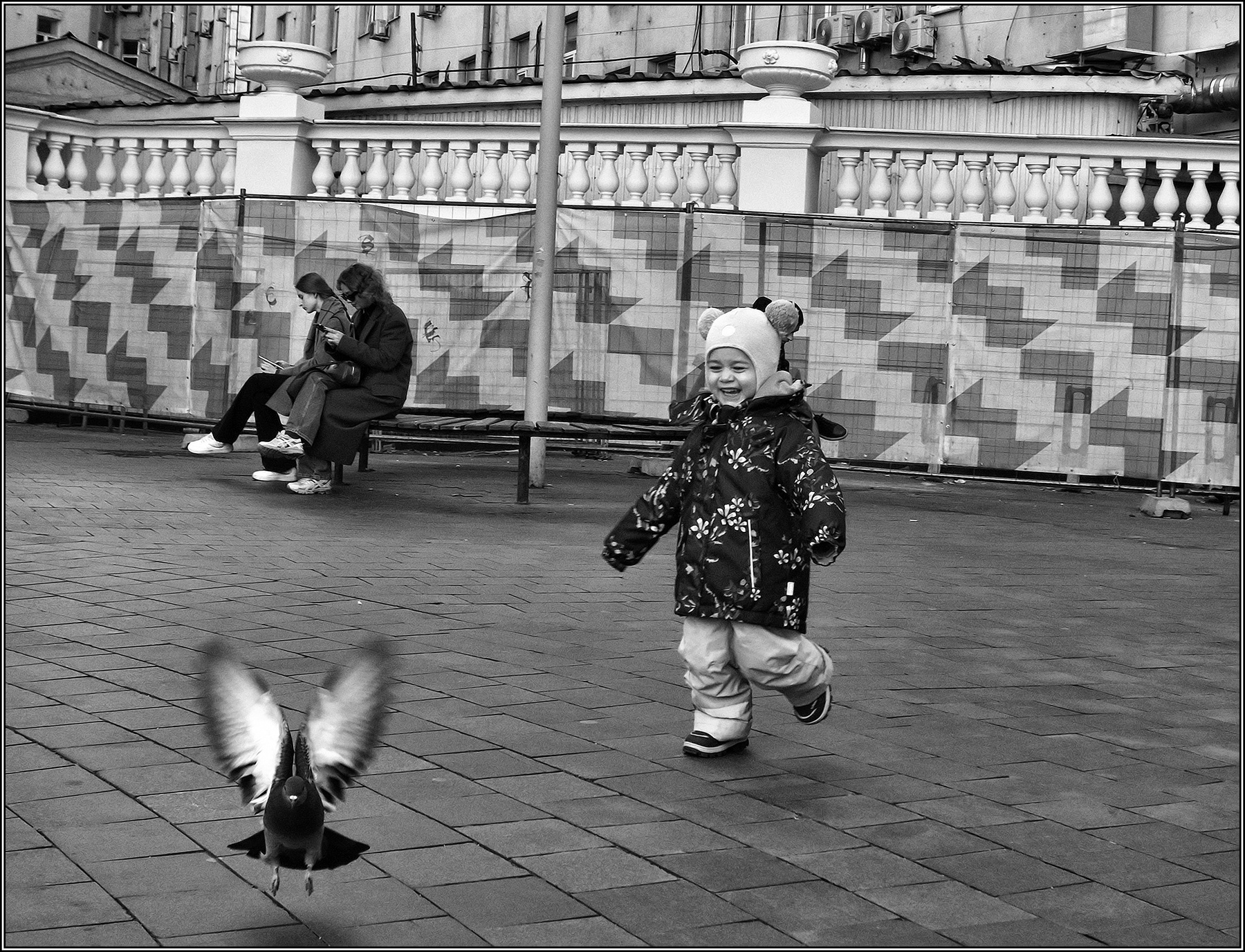 .... Поймать птичку ..... улица люди события