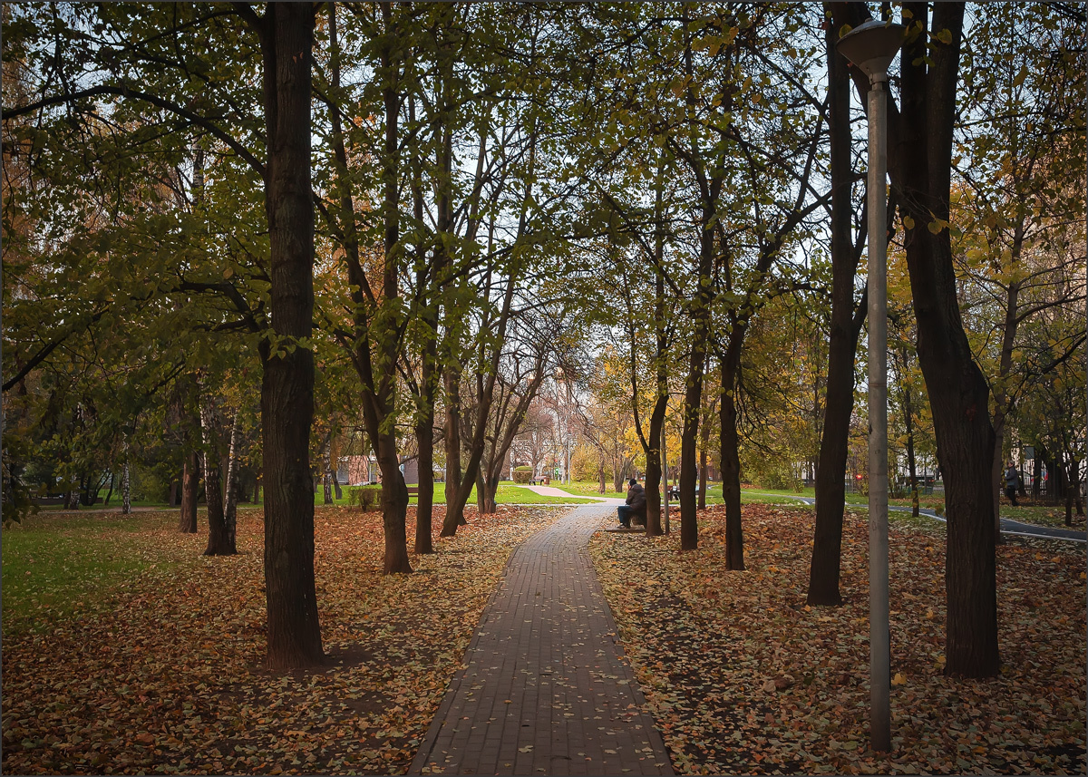 В осеннем парке... осень парк