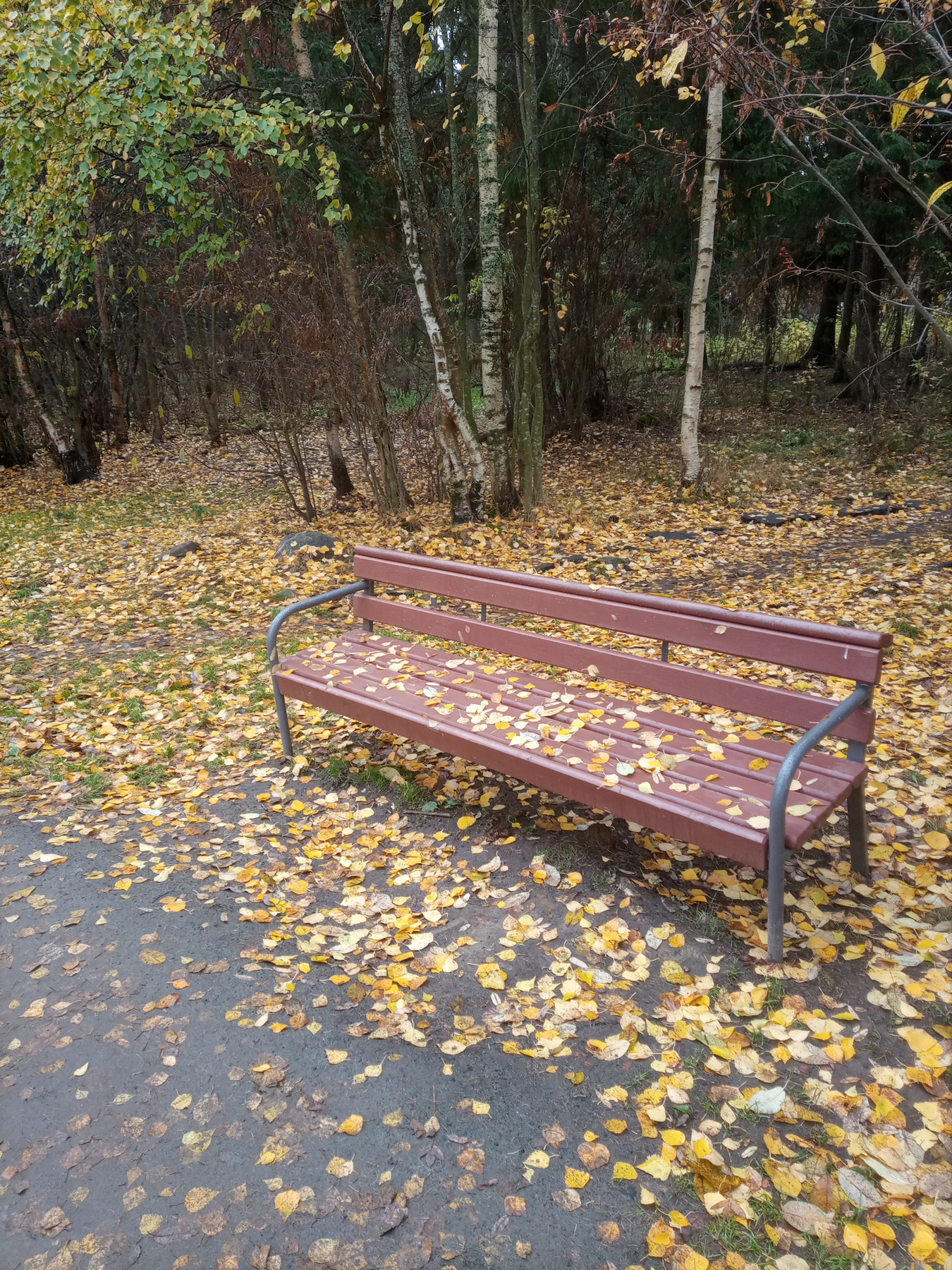 *** Осень опавшая листва листья скамейка