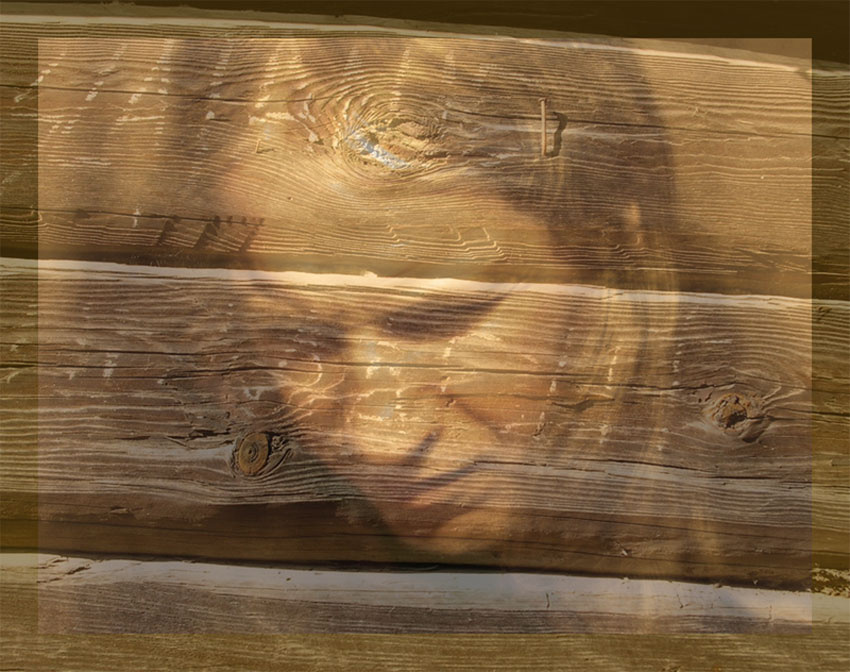 in the eyes of death 