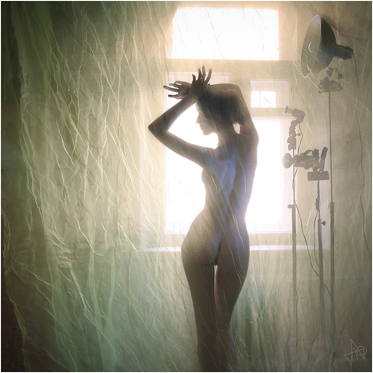 свет(7) 