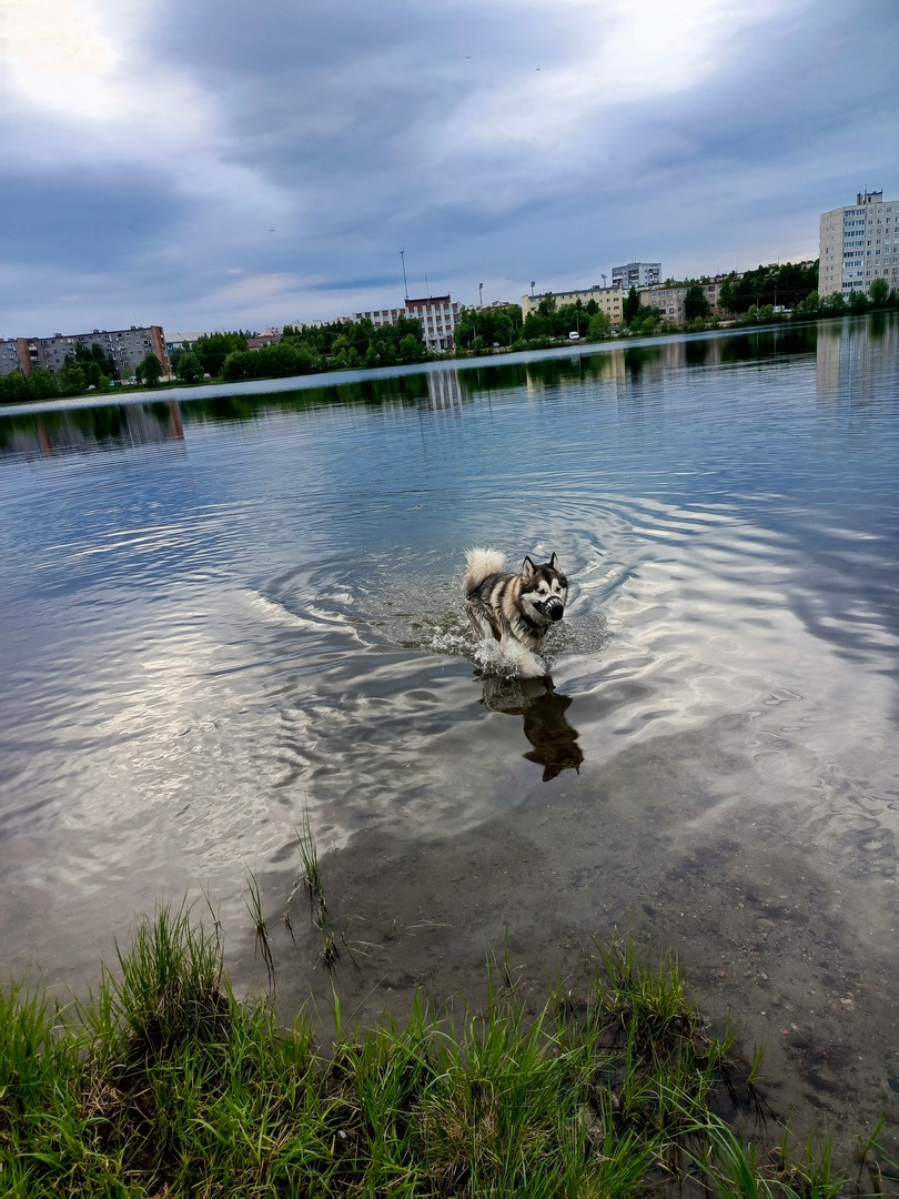 Купание окончено 