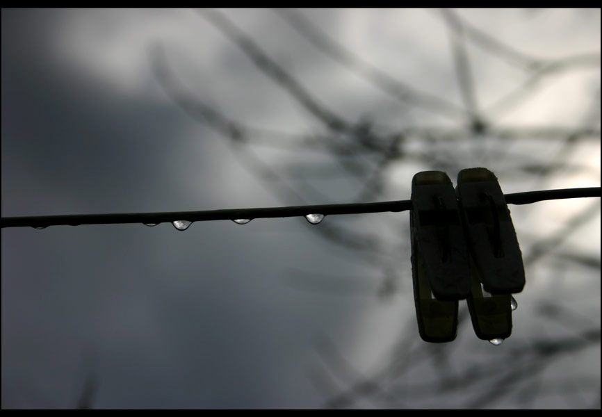 between darkness and wonder 
