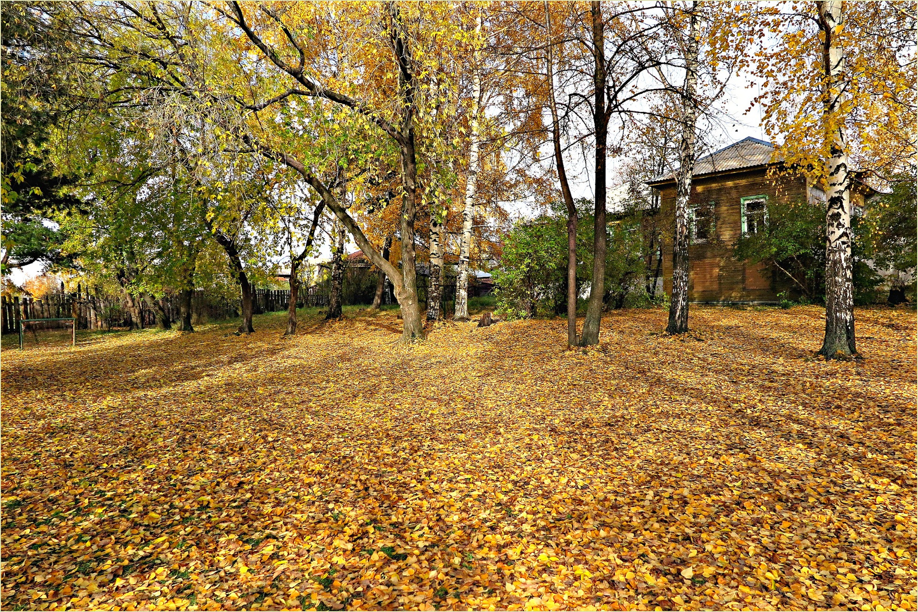 ***Осень 