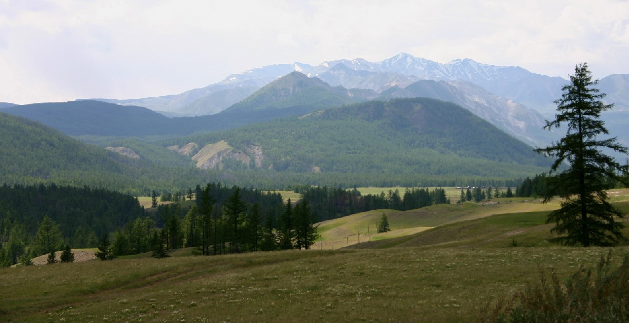 Саяны Саяны, горы, лето