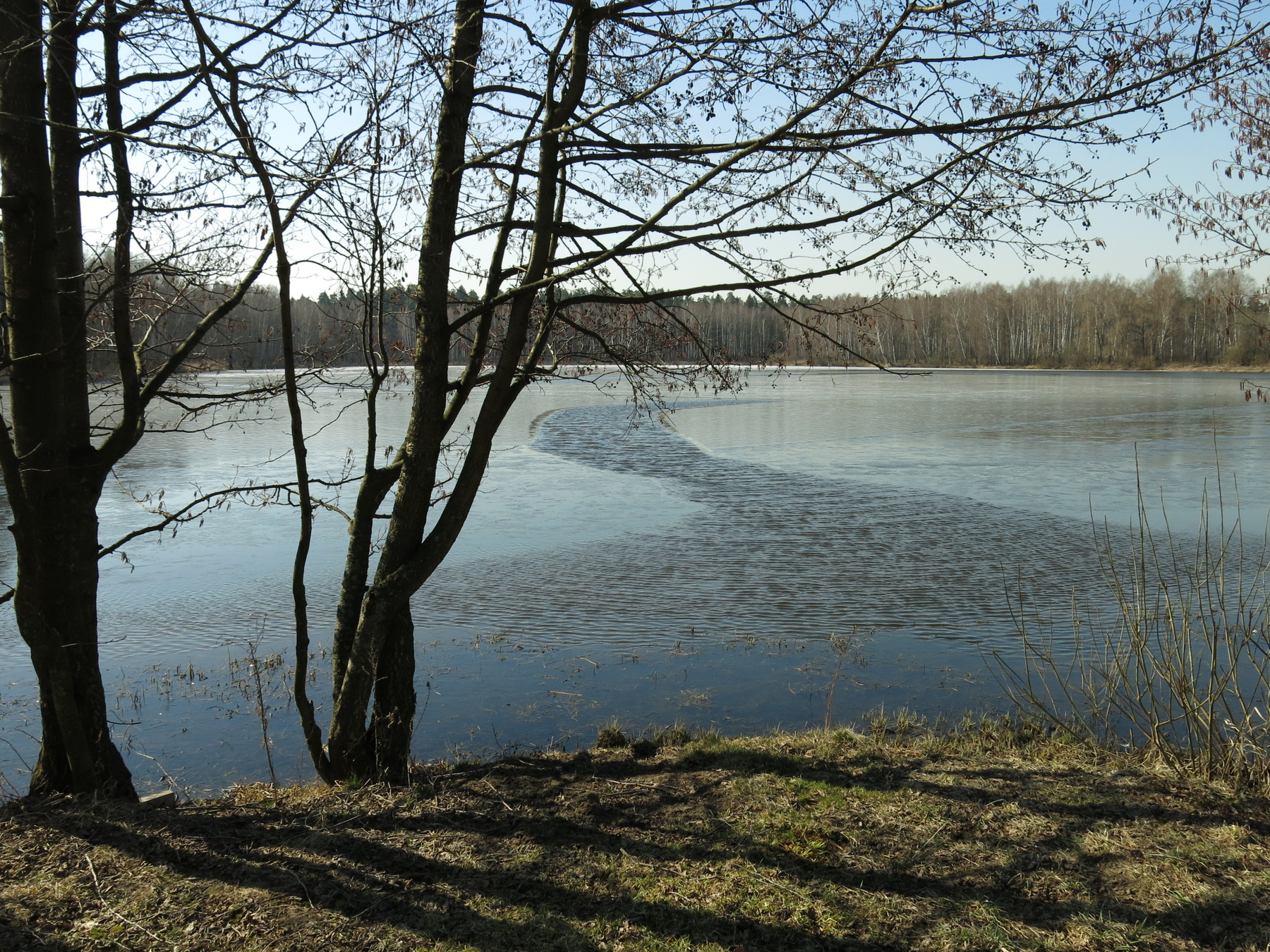 Лед тронулся. 