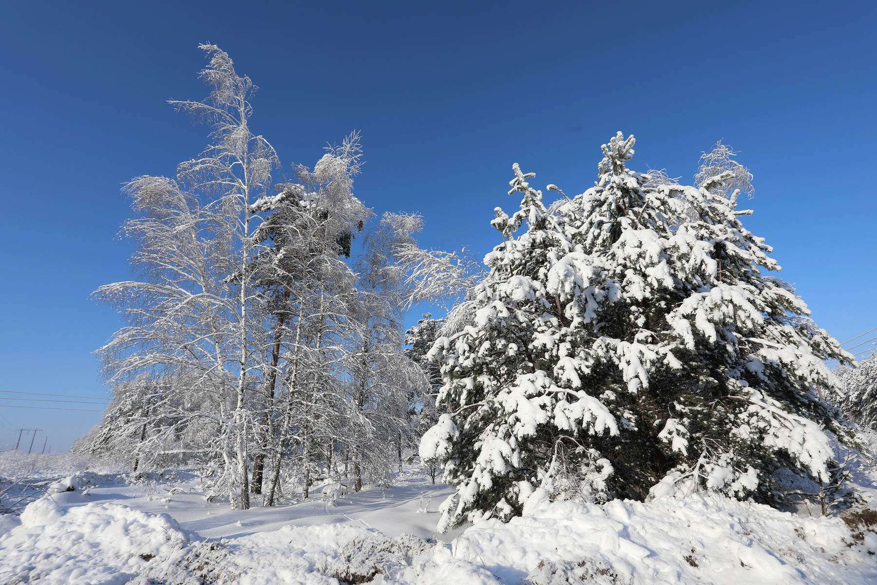 ** 