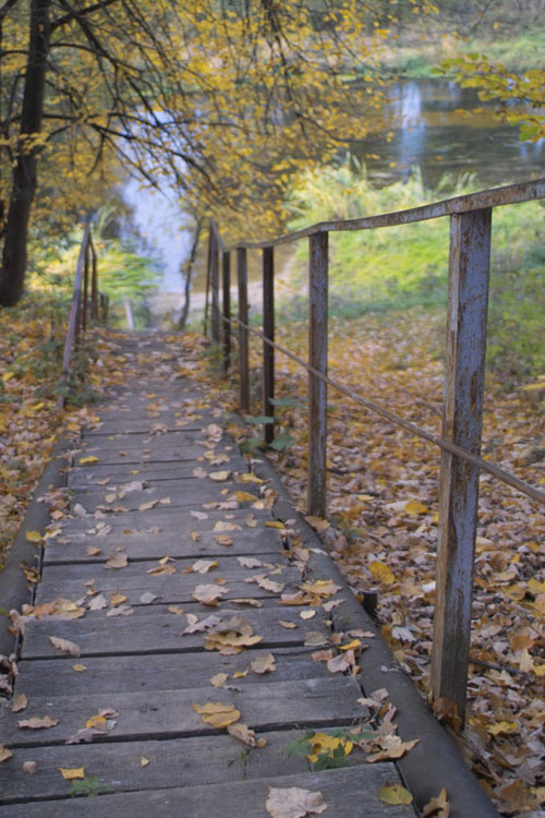 Золотая осень... осень