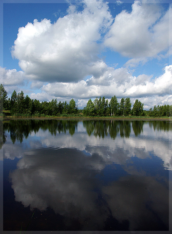 Дачный пейзаж утро дача вода лес