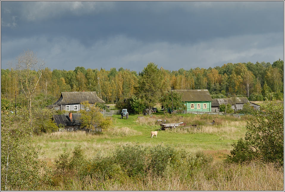 Перед дождём. Смоленщина, осень, солнце.