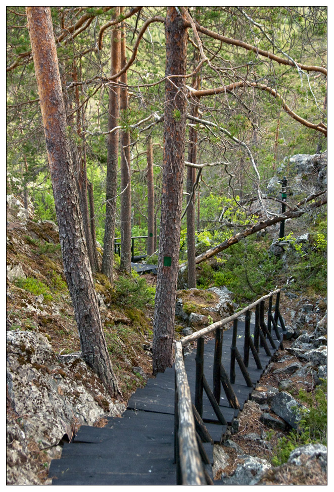 Path 
