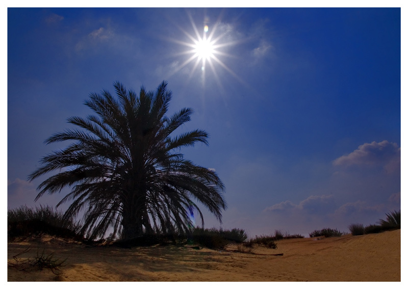 Палящий зной 