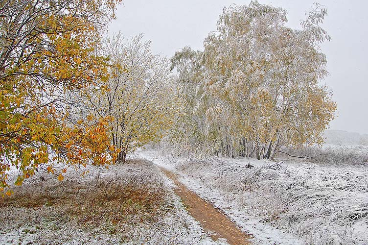 Первый снег первый снег