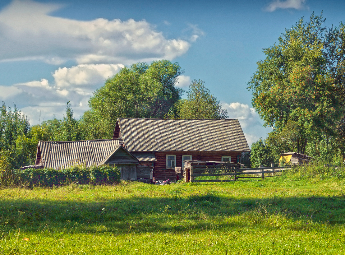 Лето на селе село глубинка лето каникулы дети