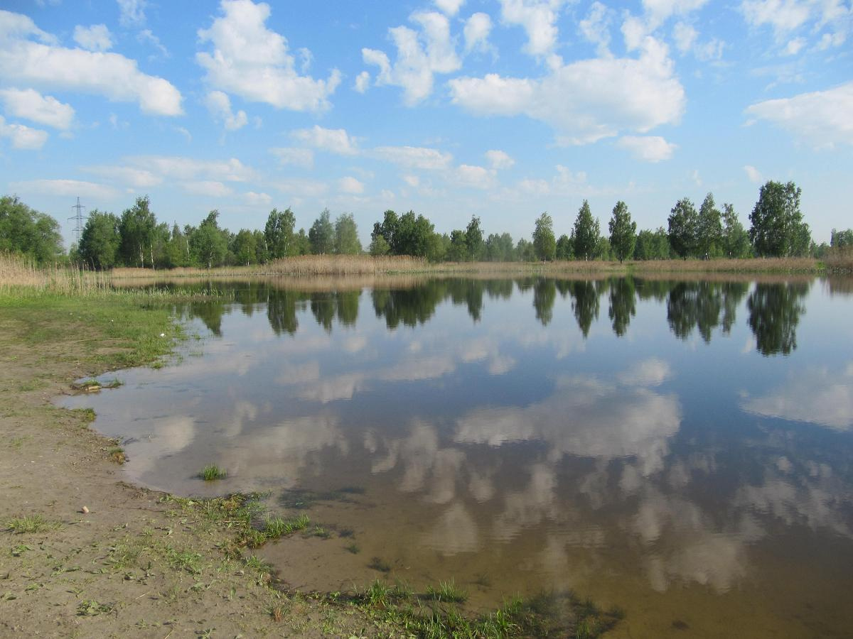 Весёленький денёк Ляпинка, Нижний посёлок
