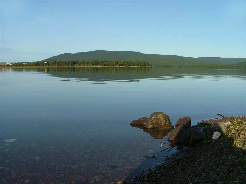Nice Природа, холм, деревья, дорога, даль, растения