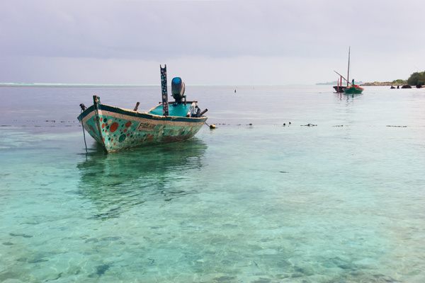 near island 
