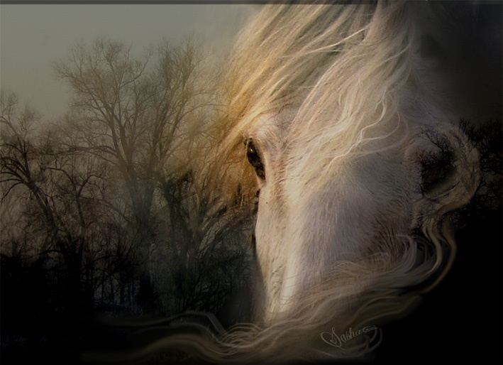 Из вне... лошадь horse
