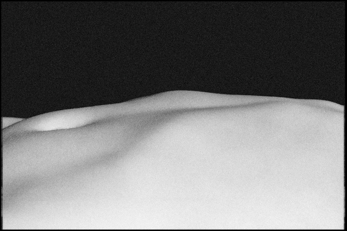 Photo 365 I\'m