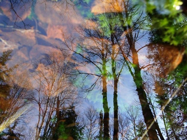 Осень 