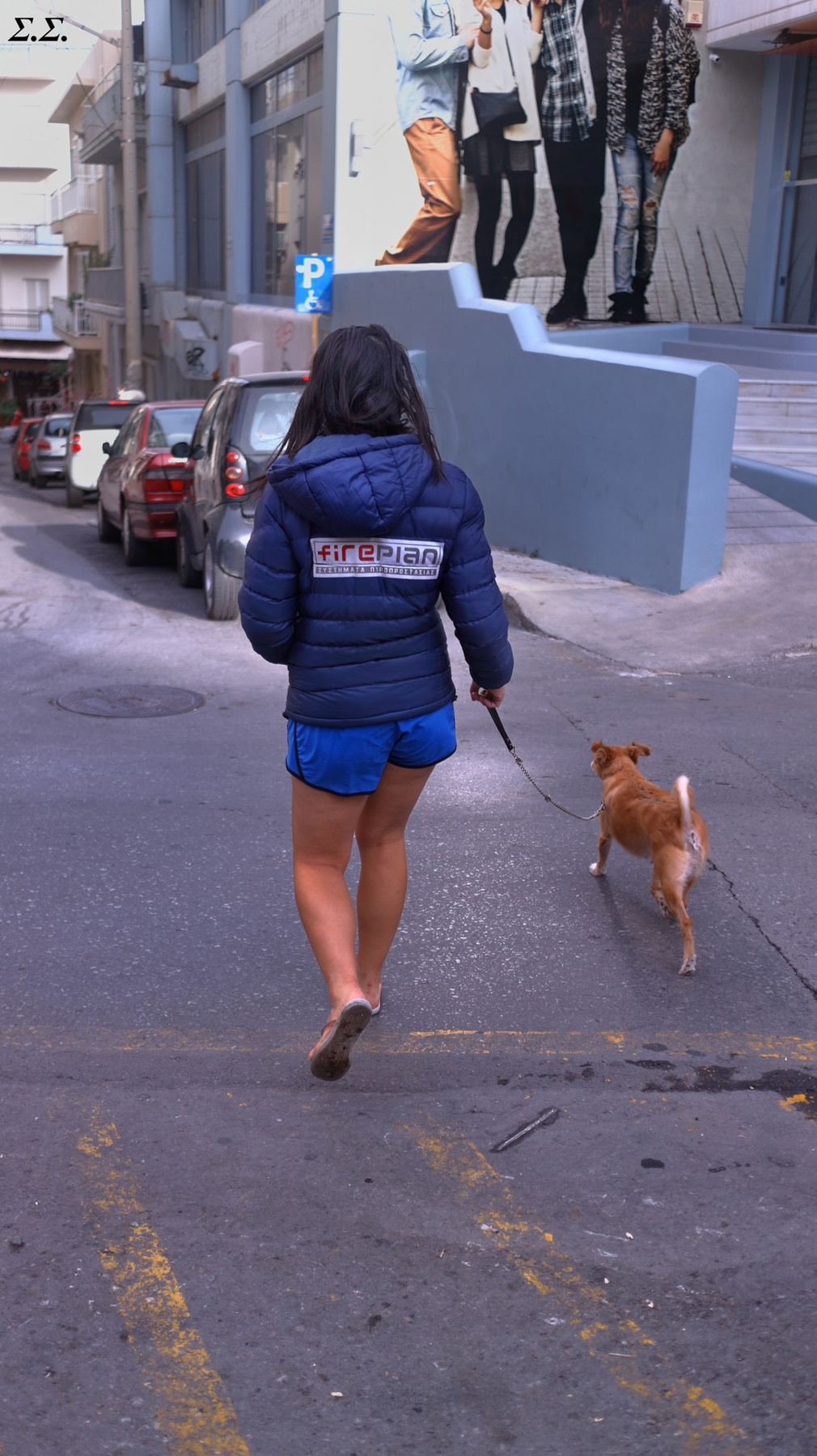 WALKING OUT THE DOG 