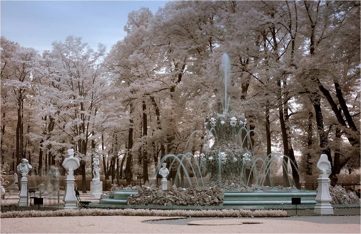 В Летнем саду 