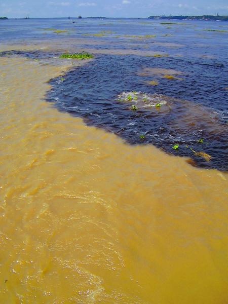 Встреча вод Амазонка, Риу-Негру, Бразилия, Манаус, вода, река