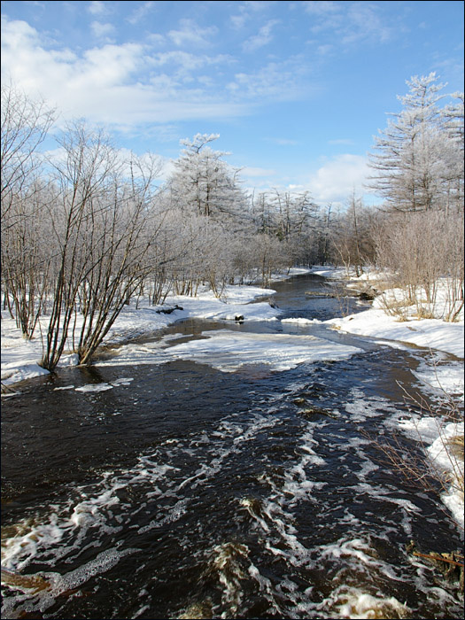 На речке Кади вешние воды таёжная река