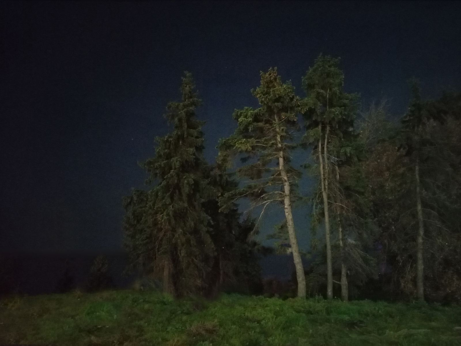 БЕРЕГ ВОЛГИ 