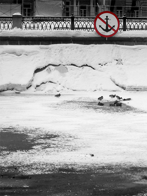 NO_parking ничего прекрасней нет на свете кроме жизни на планете - земля