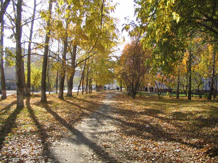 Осень город, осень