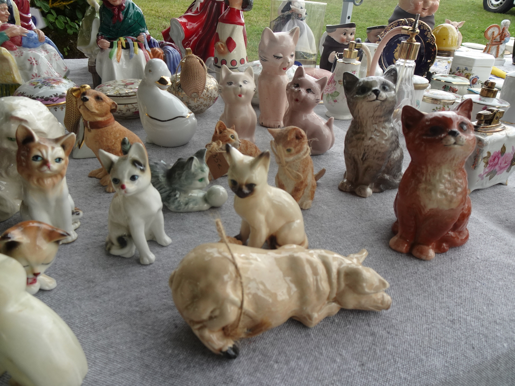 Котики кот