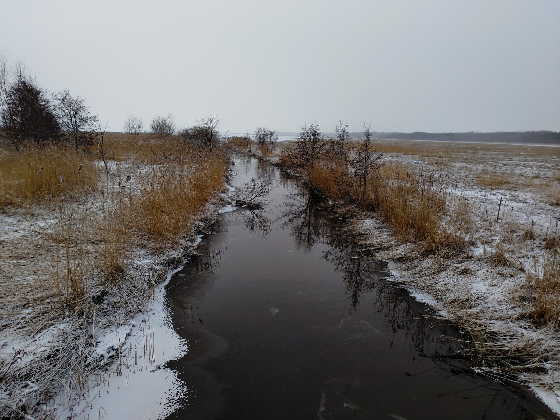 РЕЧКА. РЕЧКА