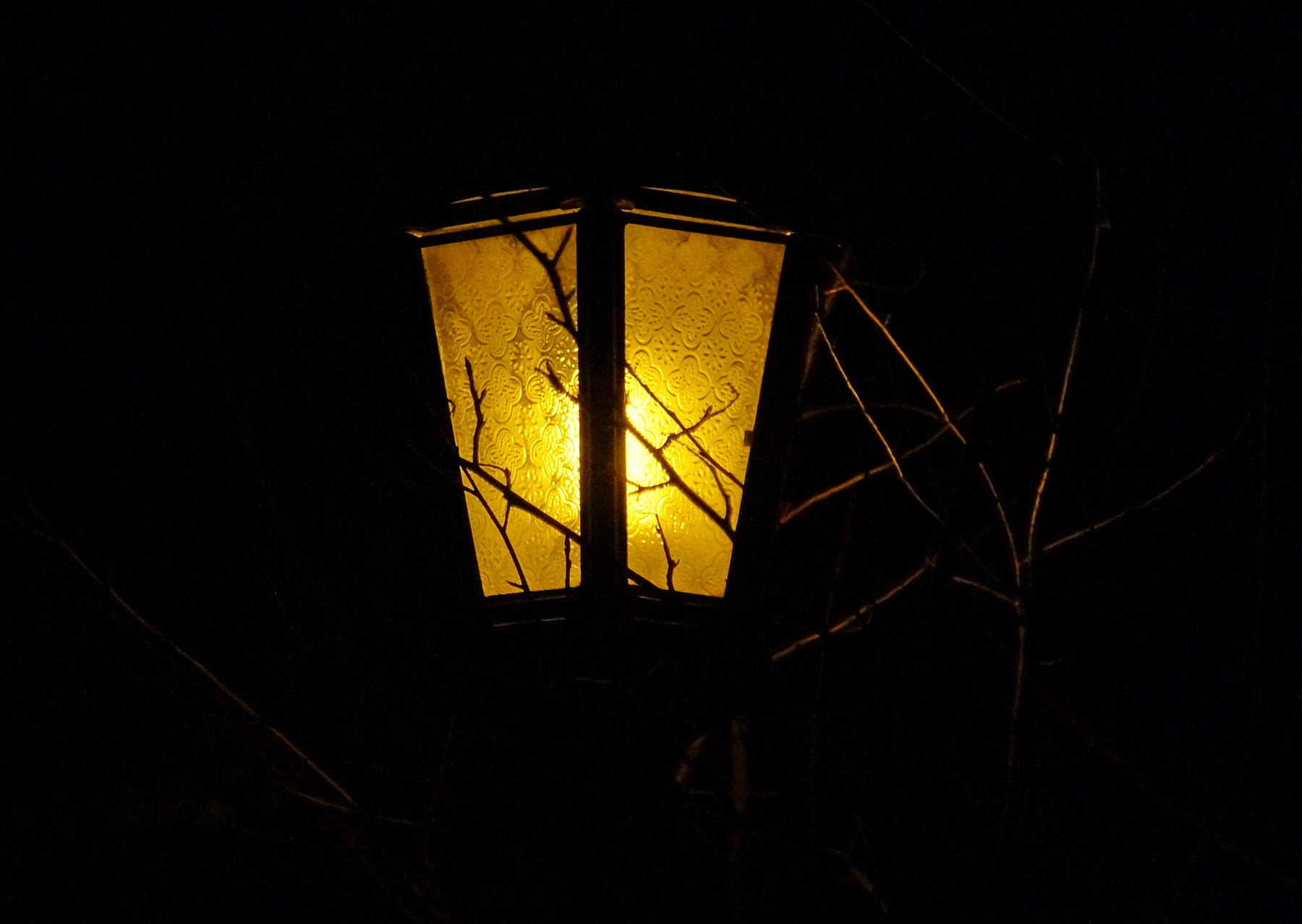 Неяркий свет 
