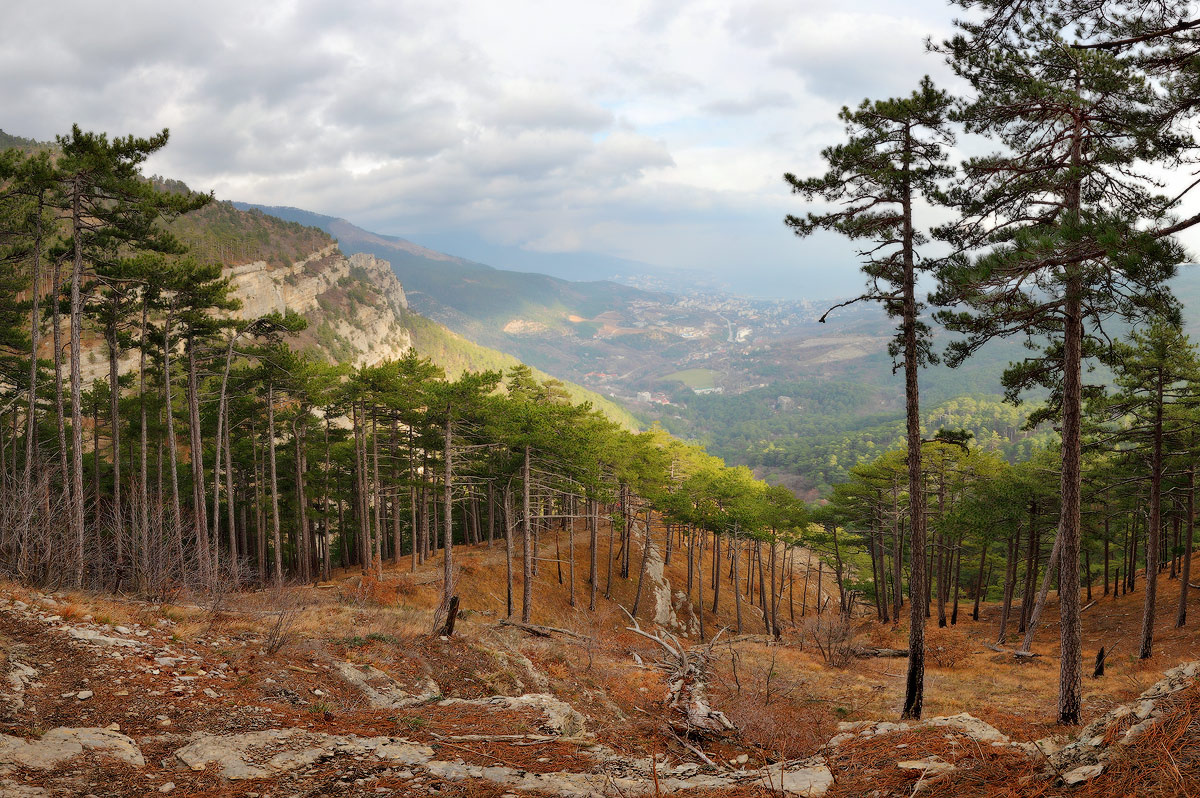 Начало января в Крыму Крым, Ялта, горы