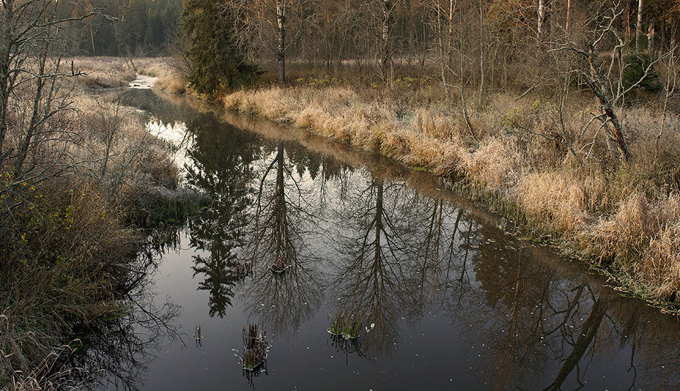 Предзимье. 