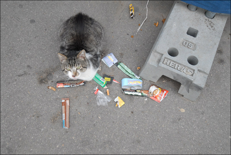 Flea Market flea market
