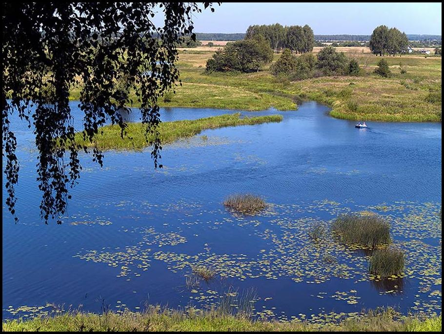 *** полдень река лето